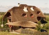 Очерет - покрытие крыш по Украине (камыш обыкновенный)
